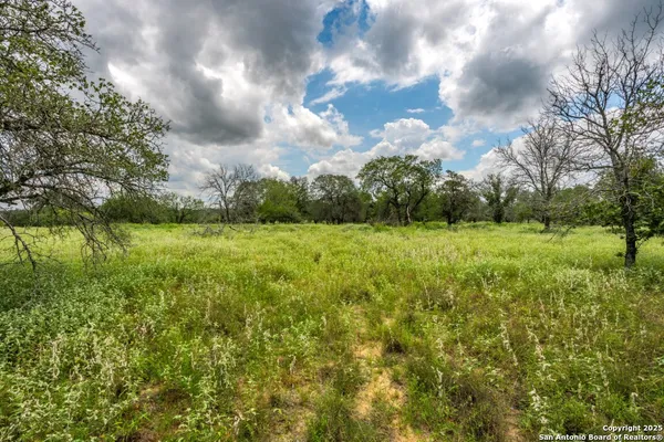 a view of a field with a tree in the background