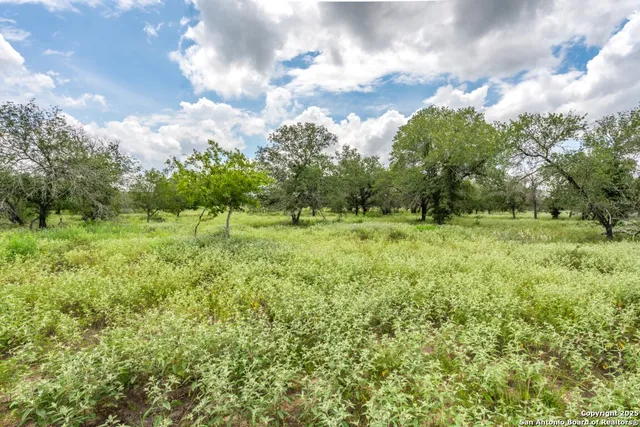 a view of a green field with wooden fence