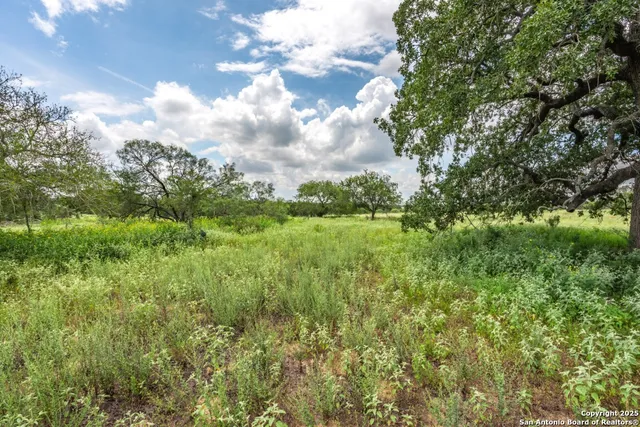 a view of a green field