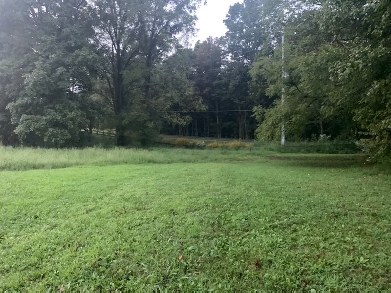 3644 Baggett Road Springfield, TN 37172 - Photo 54 of 70 a view of outdoor space with a garden and trees