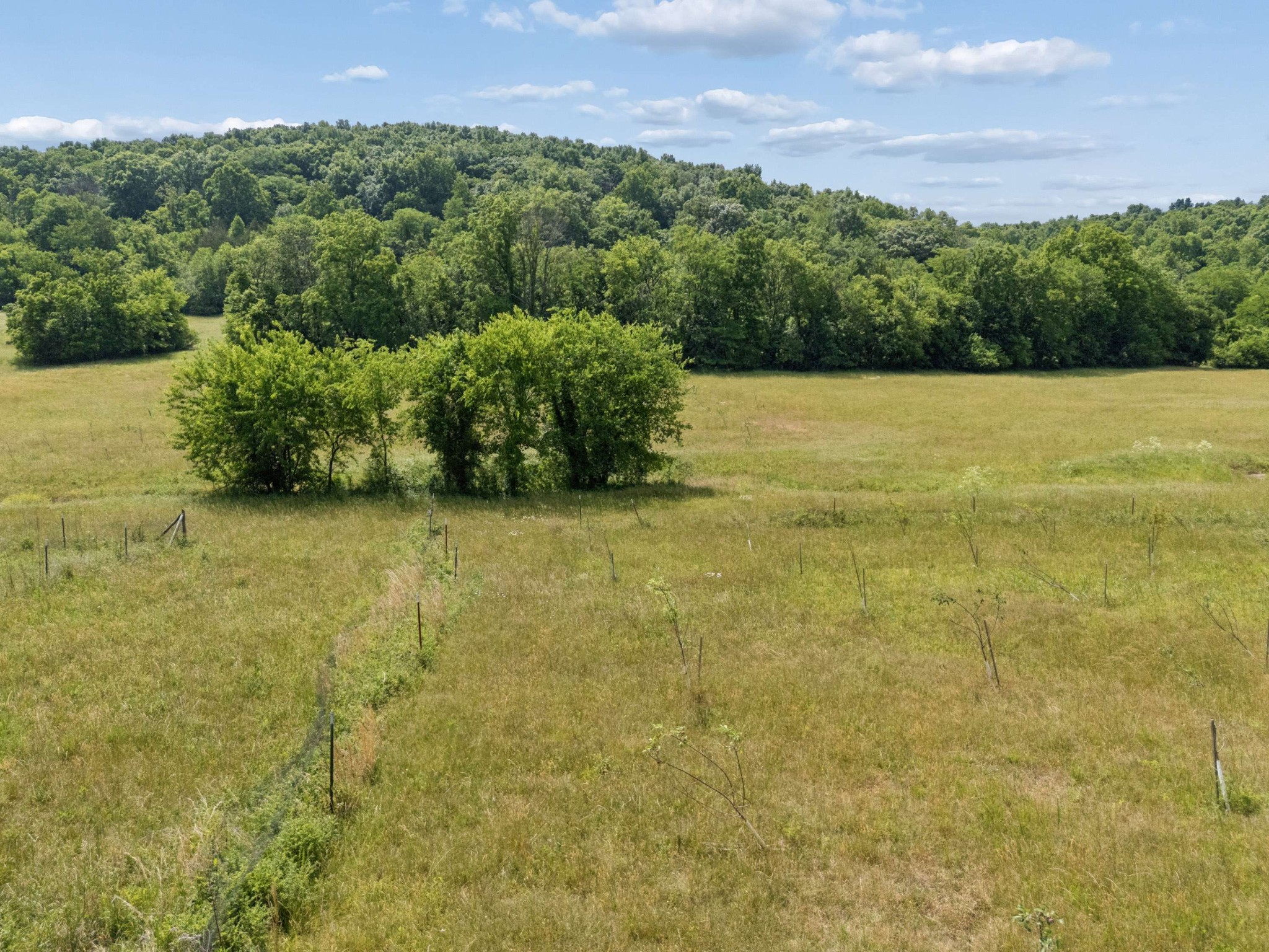 2063 Kennedy Creek Road Auburntown, TN 37016 - Photo 81 of 98