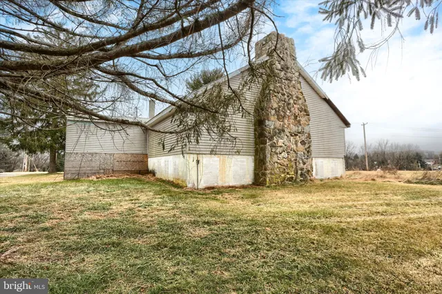 a view of a backyard with a large tree