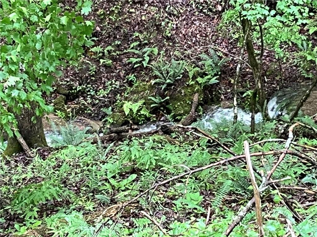 1720 Rebekah Ridge Road Talking Rock, GA 30175 - Photo 3 of 14 unknown