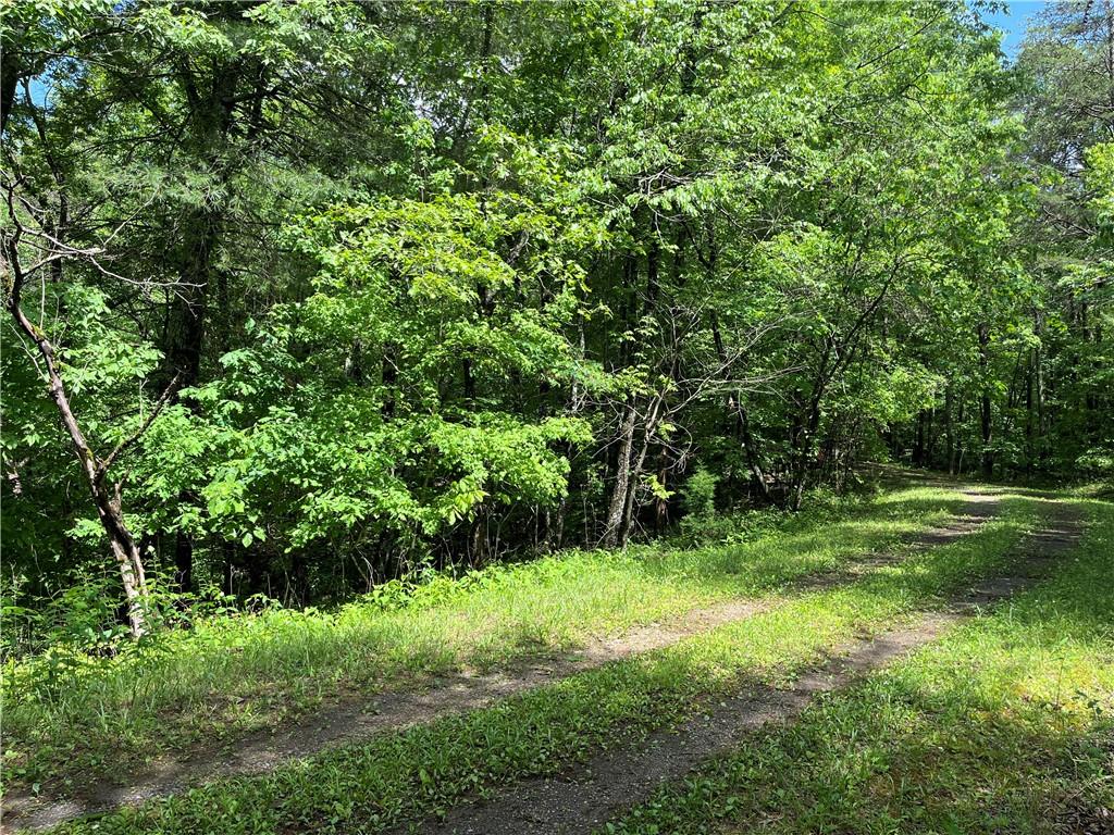 1720 Rebekah Ridge Road Talking Rock, GA 30175 - Photo 7 of 14 a view of a green field with lots of bushes
