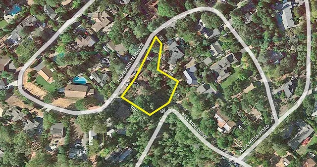 a view of a yard with plants and trees