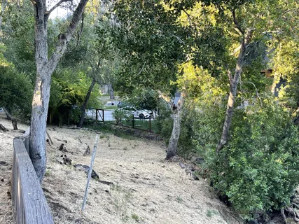 a backyard of a house with lots of green space