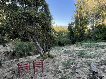 a view of a plant in middle of the green field