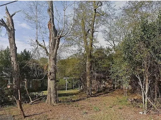 a view of a forest filled with trees