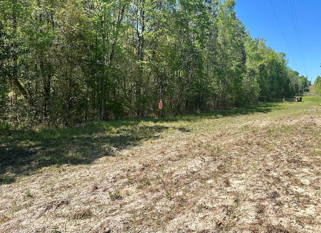 2500 Dean Church Road Ozark, AL 36360 - Photo 4 of 16