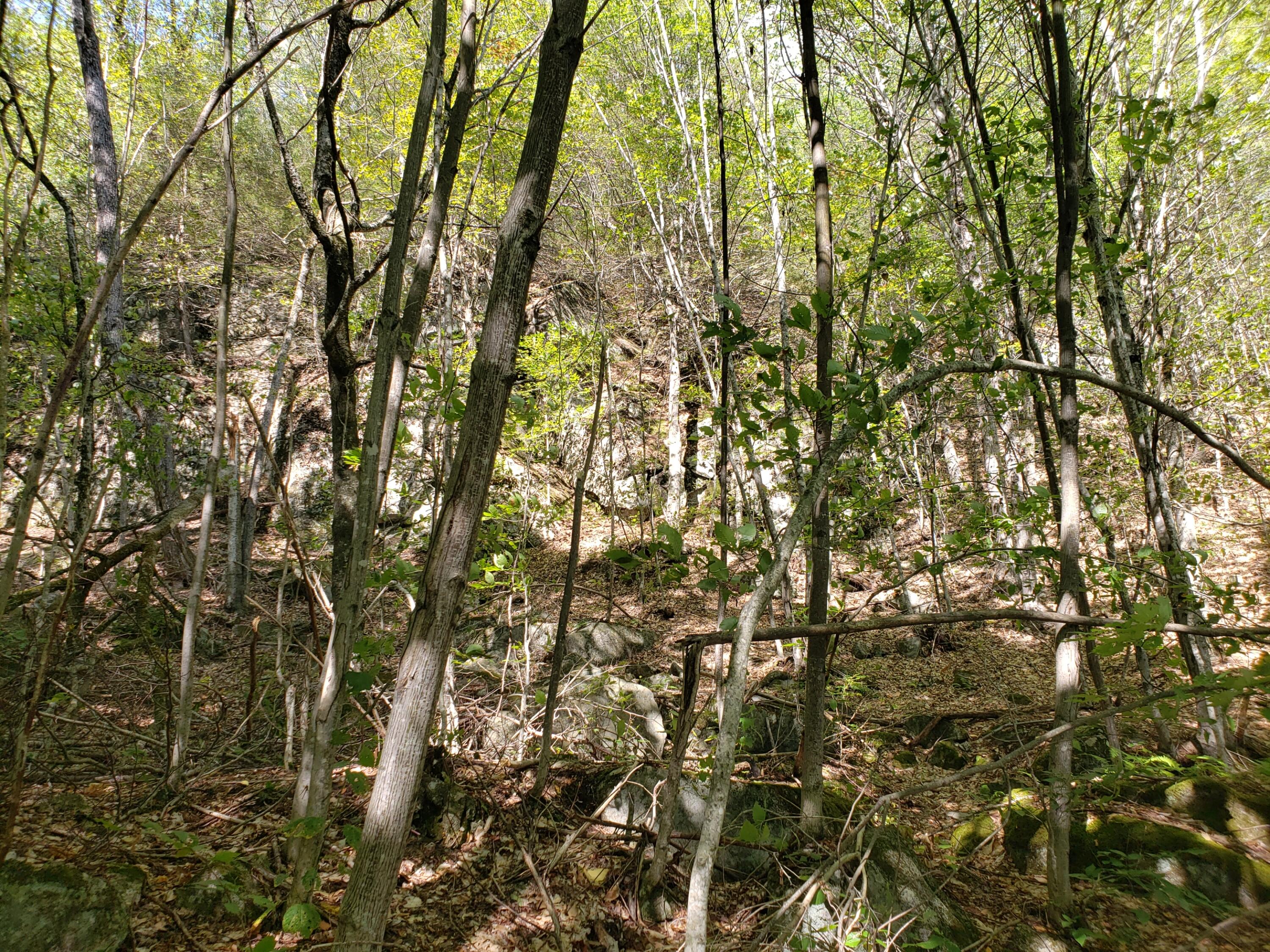 0 Off Mountain Stoneham, ME 04231 - Photo 26 of 32 long ledge front