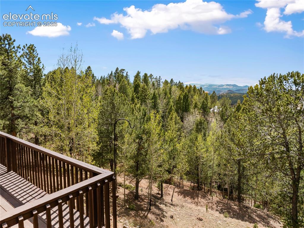 265 Homestead Road Divide, CO 80814 - Photo 48 of 50