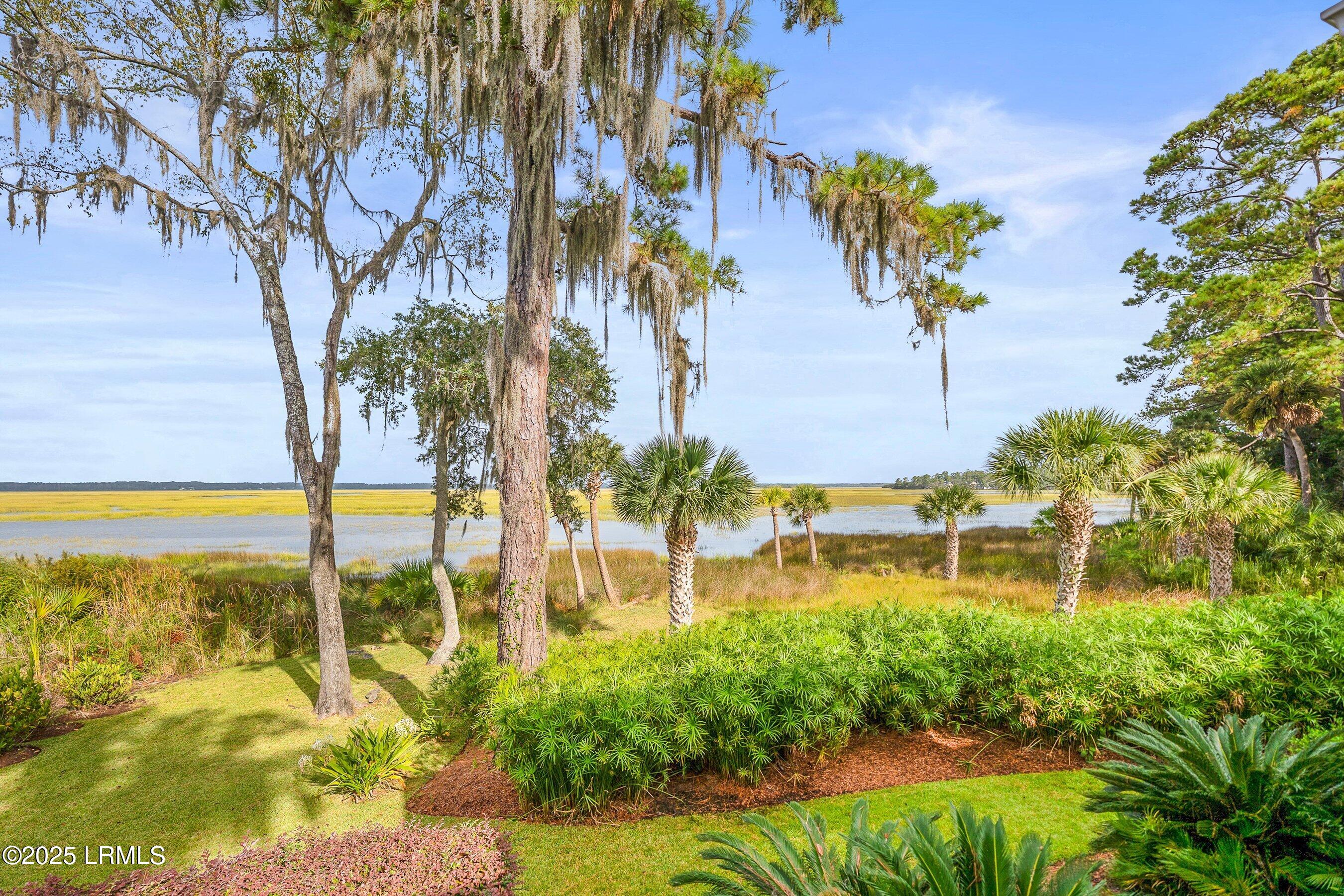 374 Dataw Drive St. Helena Island, SC 29920 - Photo 67 of 86 Back Yard Oasis