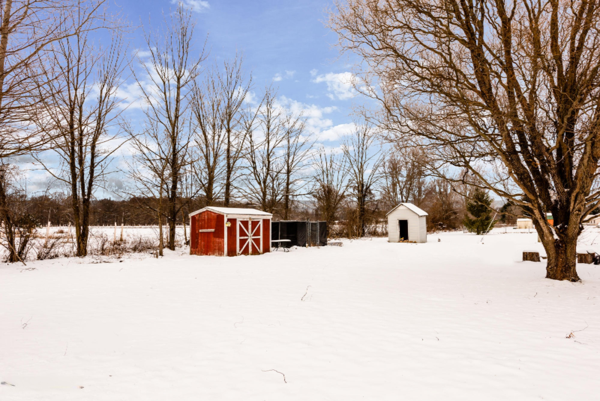 4530 Thar Road Coloma, MI 49038 - Photo 28 of 28 Thar-125