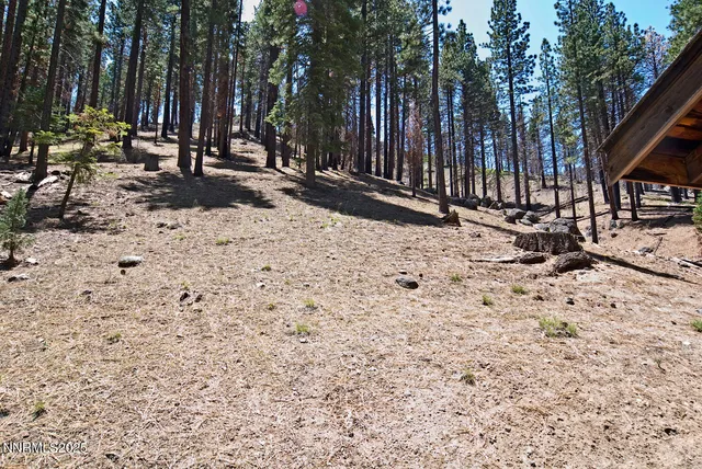 $199,000 | 499 Shay Creek Road, Markleeville, CA 96120