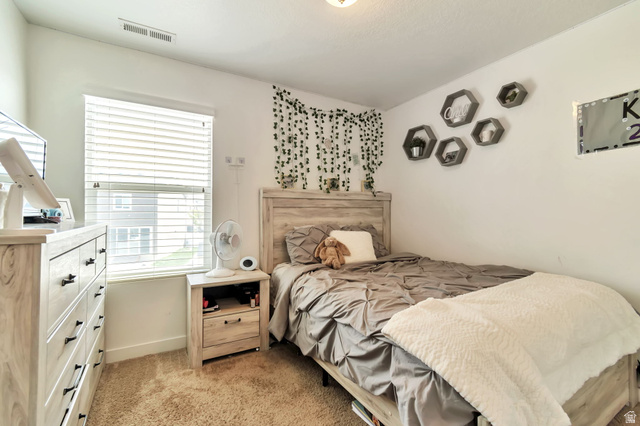 253 Quartz Road Tooele, UT 84074 - Photo 12 of 33