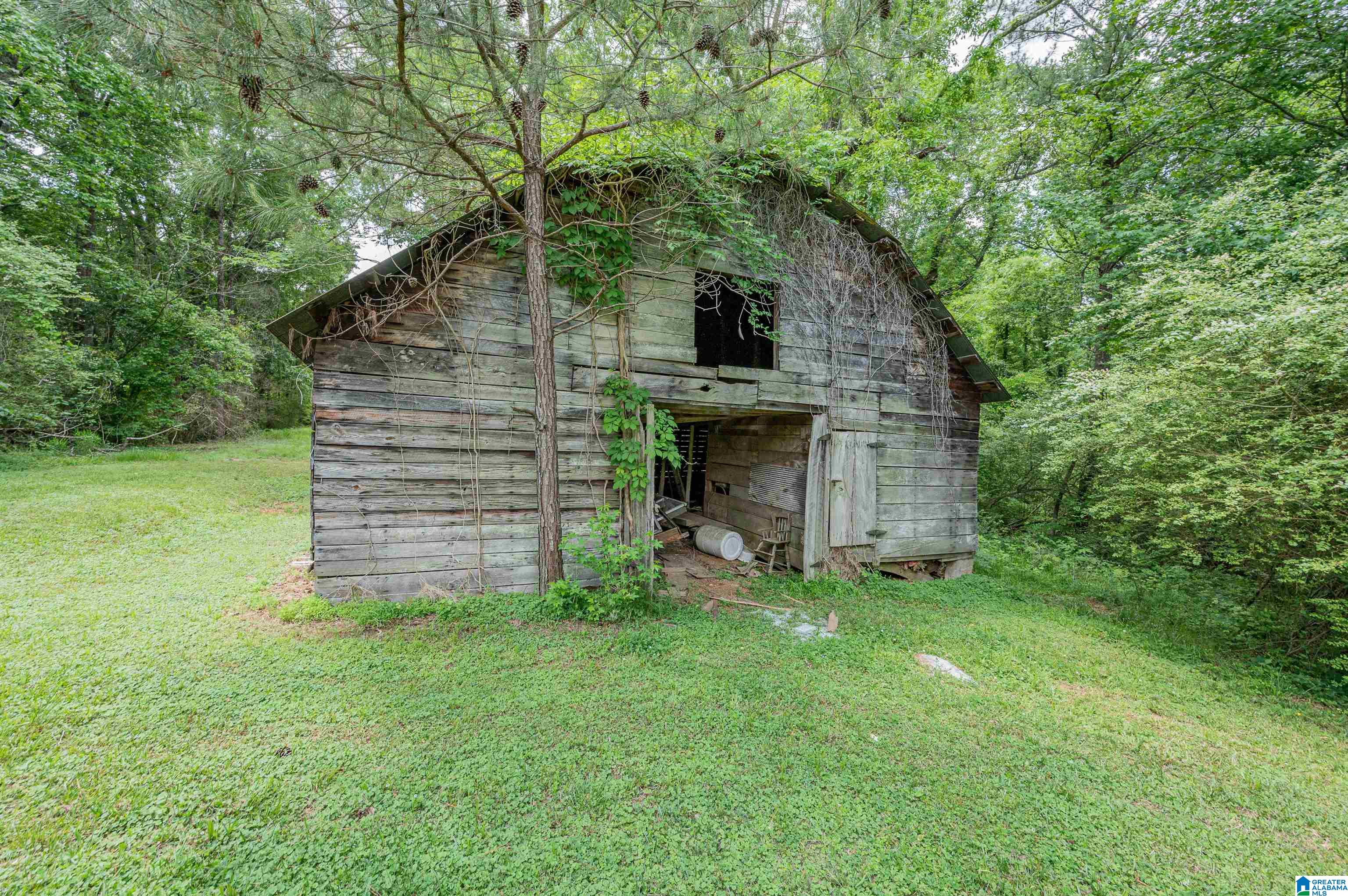 2484 Lively Road Adamsville, AL 35005 - Photo 49 of 50