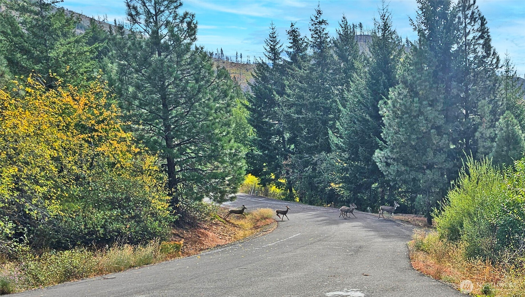 -lot B Grandview Road Ronald, WA 98940 - Photo 18 of 23