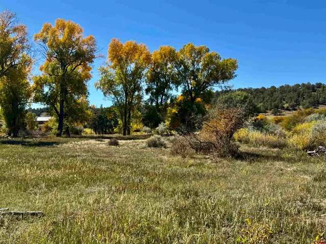 a view of outdoor space with trees