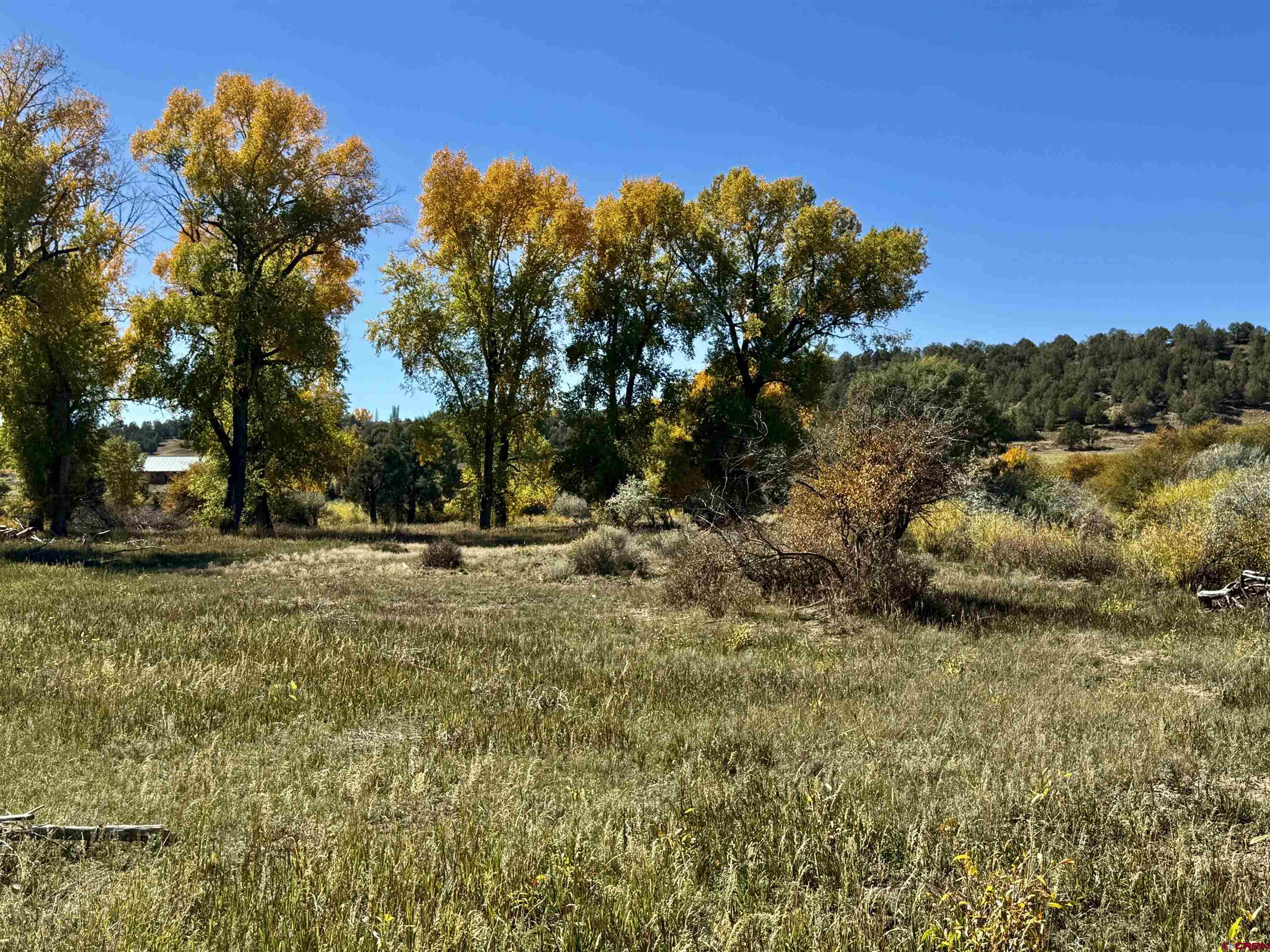 769-784 Bareback Lane Durango, CO 81303 - Photo 11 of 21 a view of outdoor space with trees
