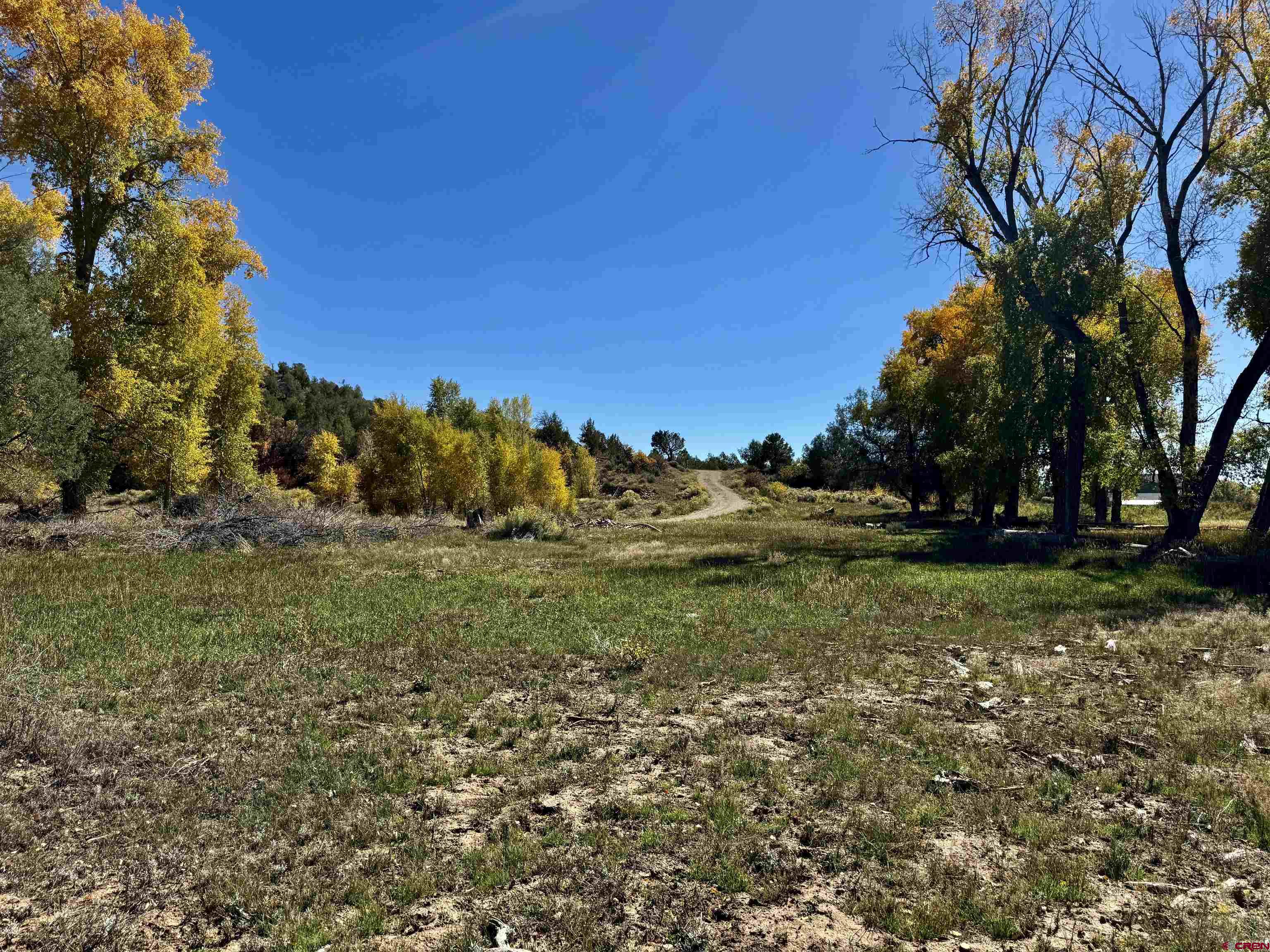 769-784 Bareback Lane Durango, CO 81303 - Photo 12 of 21 a view of a field with large trees