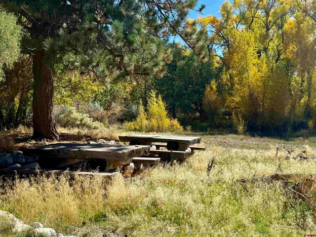 a view of swimming pool with lawn chairs and plants