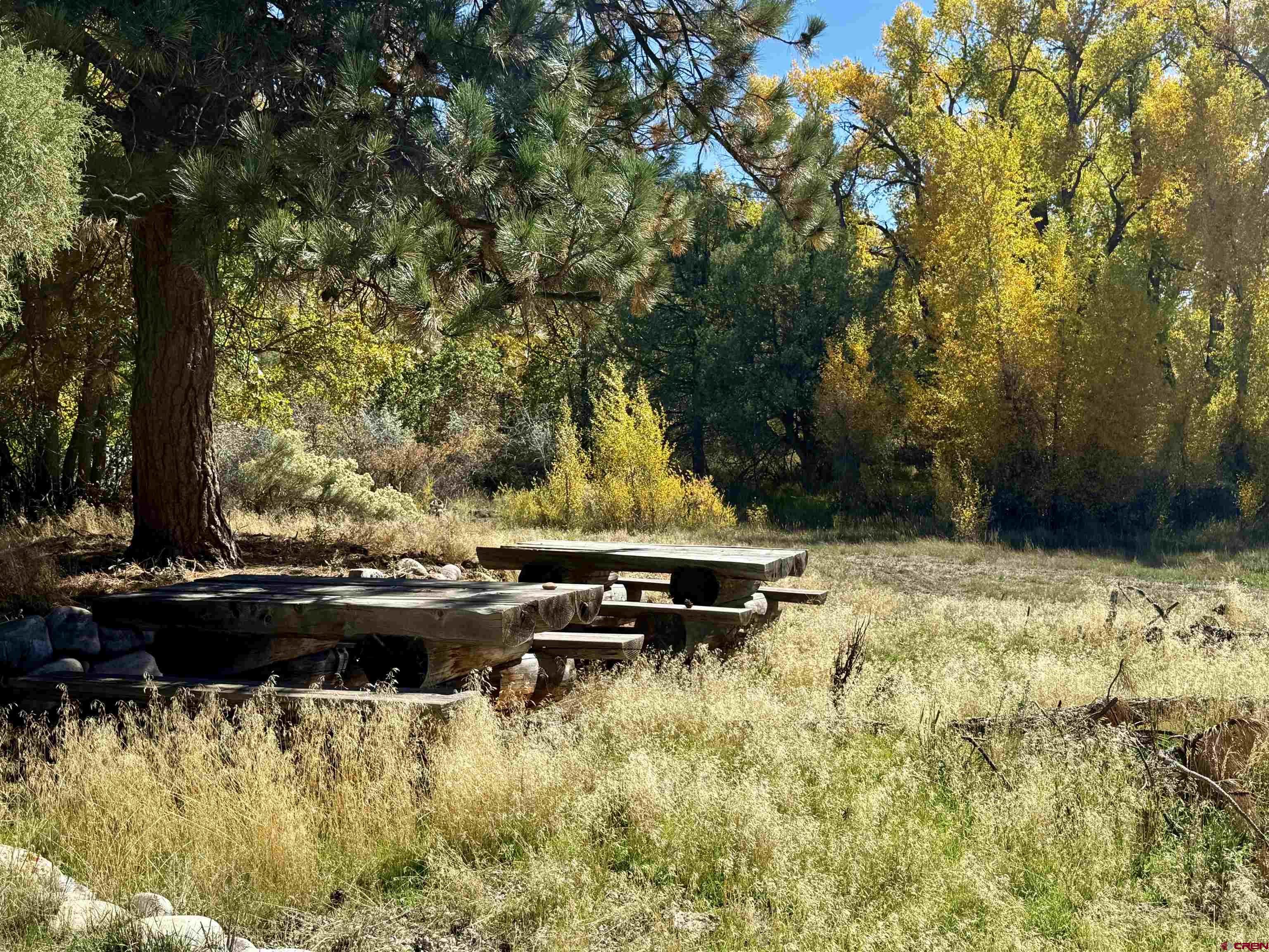 769-784 Bareback Lane Durango, CO 81303 - Photo 16 of 21 a view of swimming pool with lawn chairs and plants