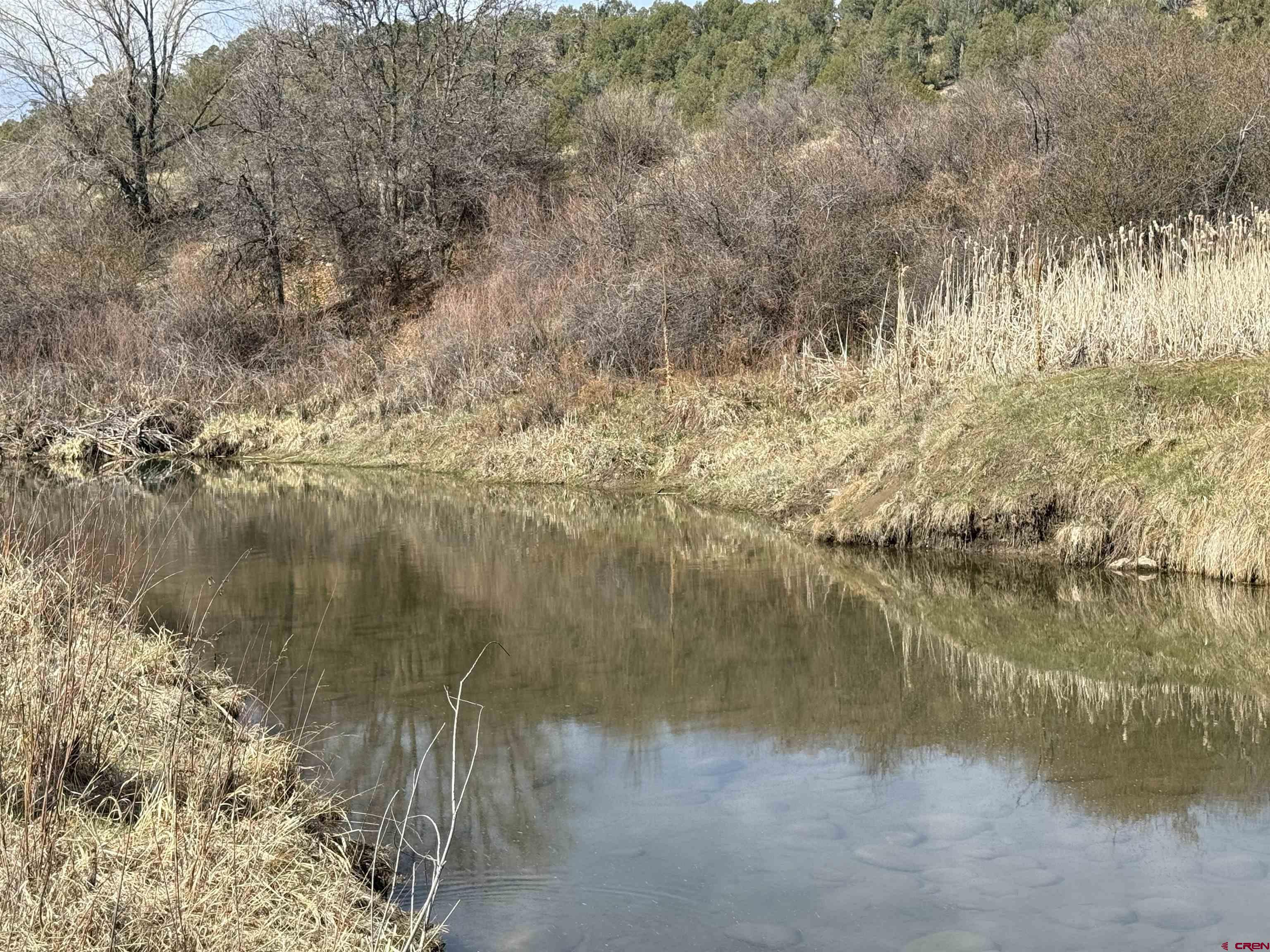 769-784 Bareback Lane Durango, CO 81303 - Photo 19 of 21 a view of a lake view