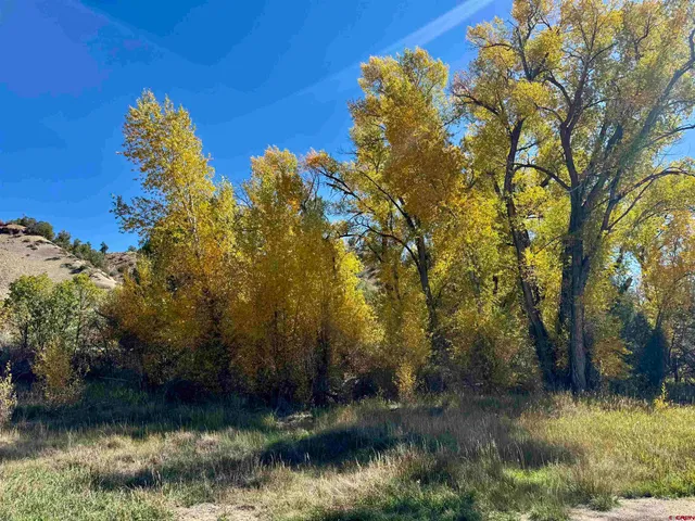 $1,495,000 | 769-784 Bareback Lane, Durango, CO 81303