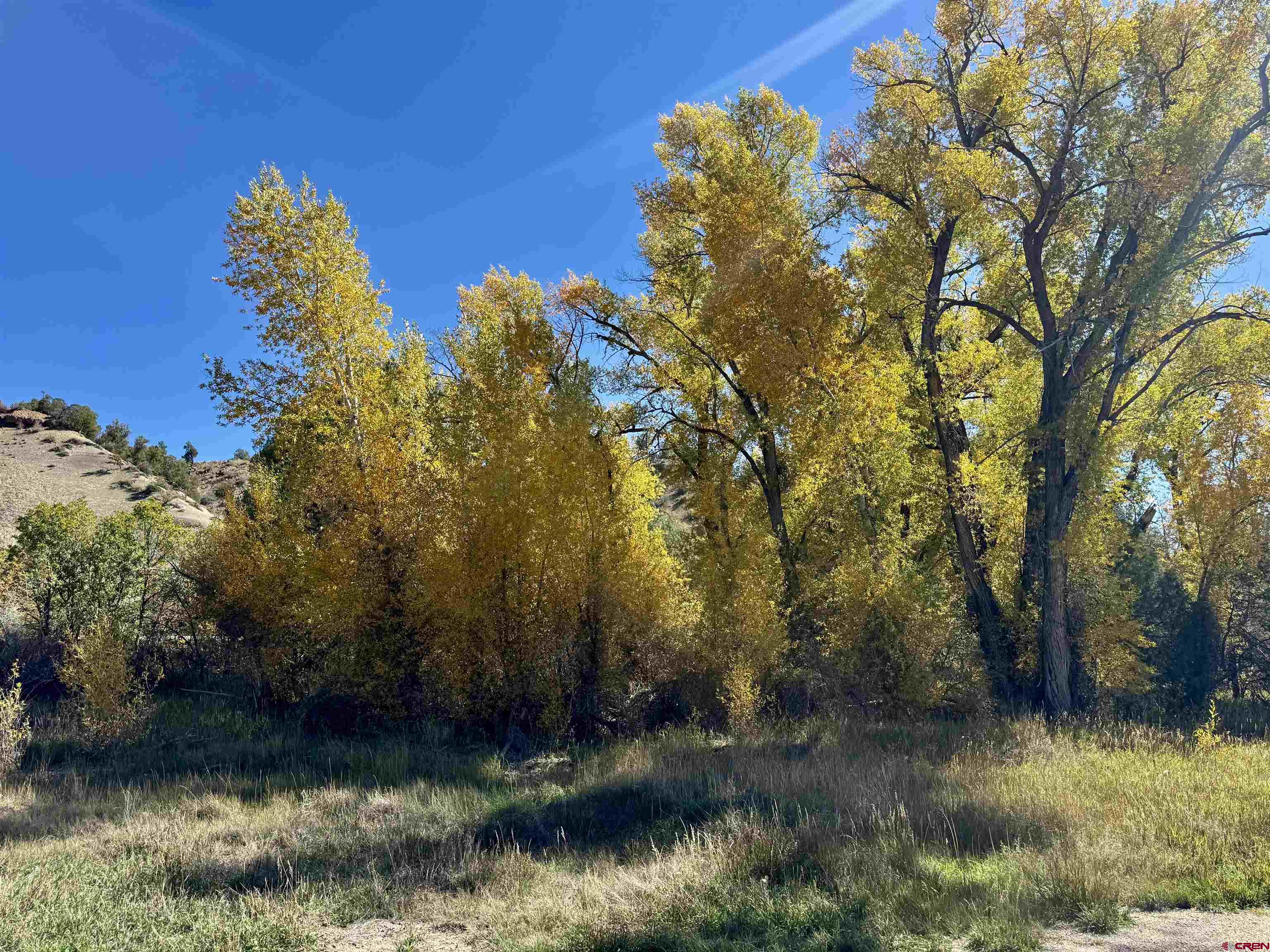 769-784 Bareback Lane Durango, CO 81303 - Photo 21 of 21 a view of a lake