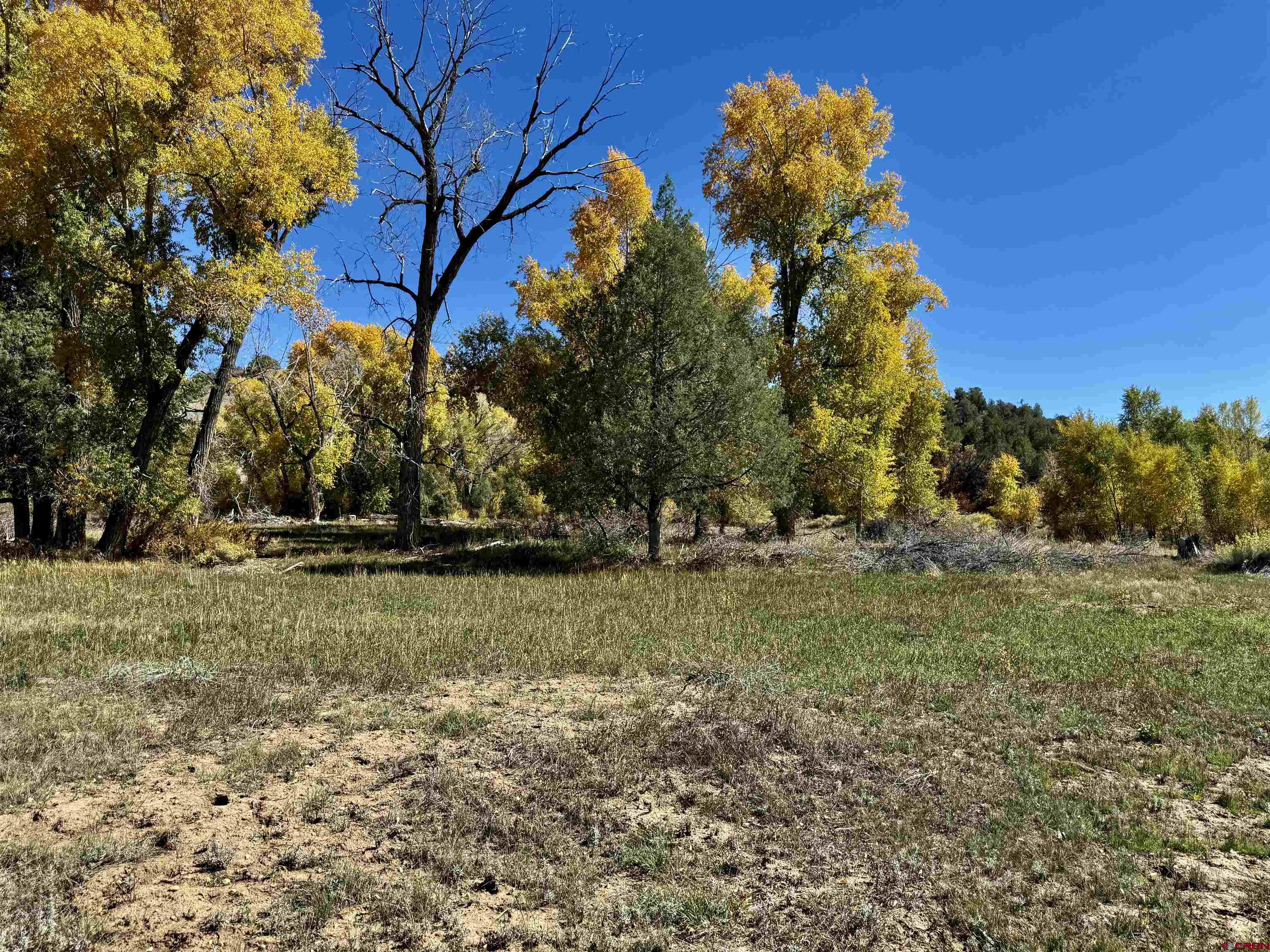 769-784 Bareback Lane Durango, CO 81303 - Photo 6 of 21 a backyard of a house with lots of green space