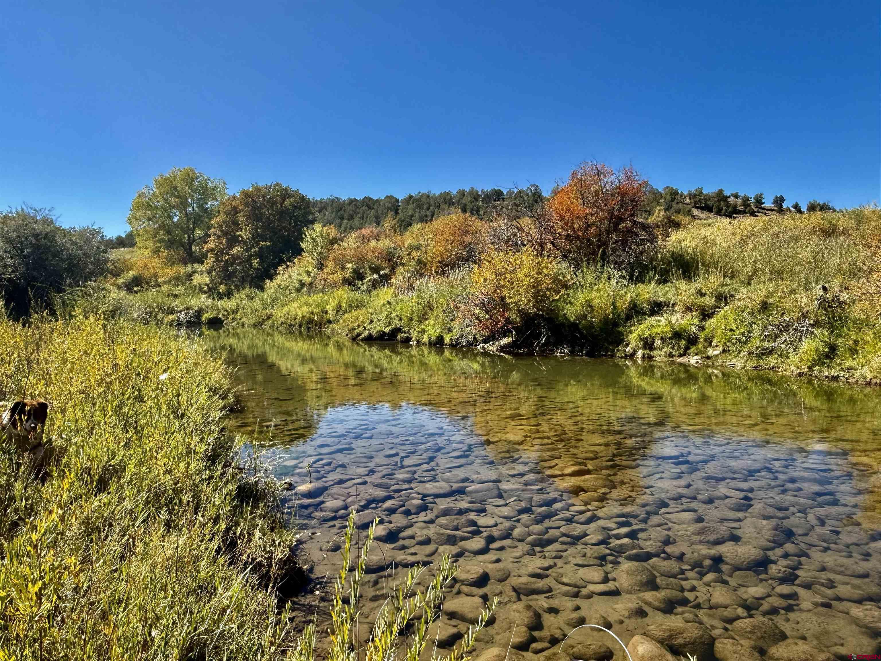 769-784 Bareback Lane Durango, CO 81303 - Photo 7 of 21 a view of lake