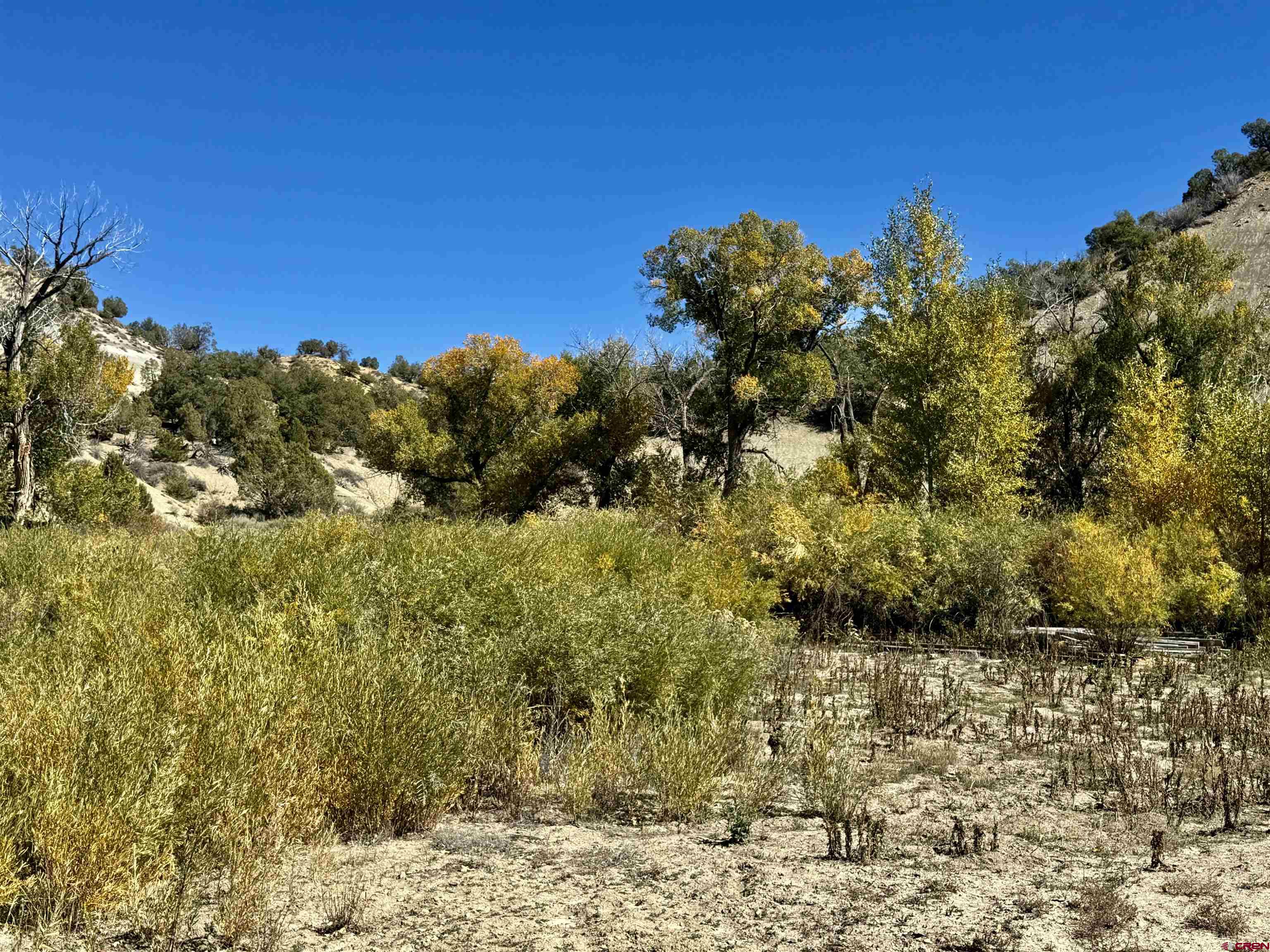 769-784 Bareback Lane Durango, CO 81303 - Photo 8 of 21 a view of a large yard with lots of plants and trees
