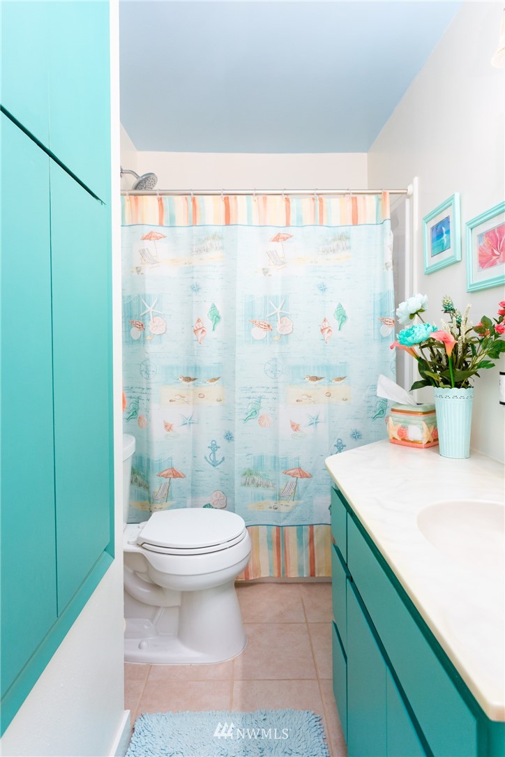 879 East Wiser Lake Road Lynden, WA 98264 - Photo 22 of 36 a bathroom with a sink a toilet and shower curtain
