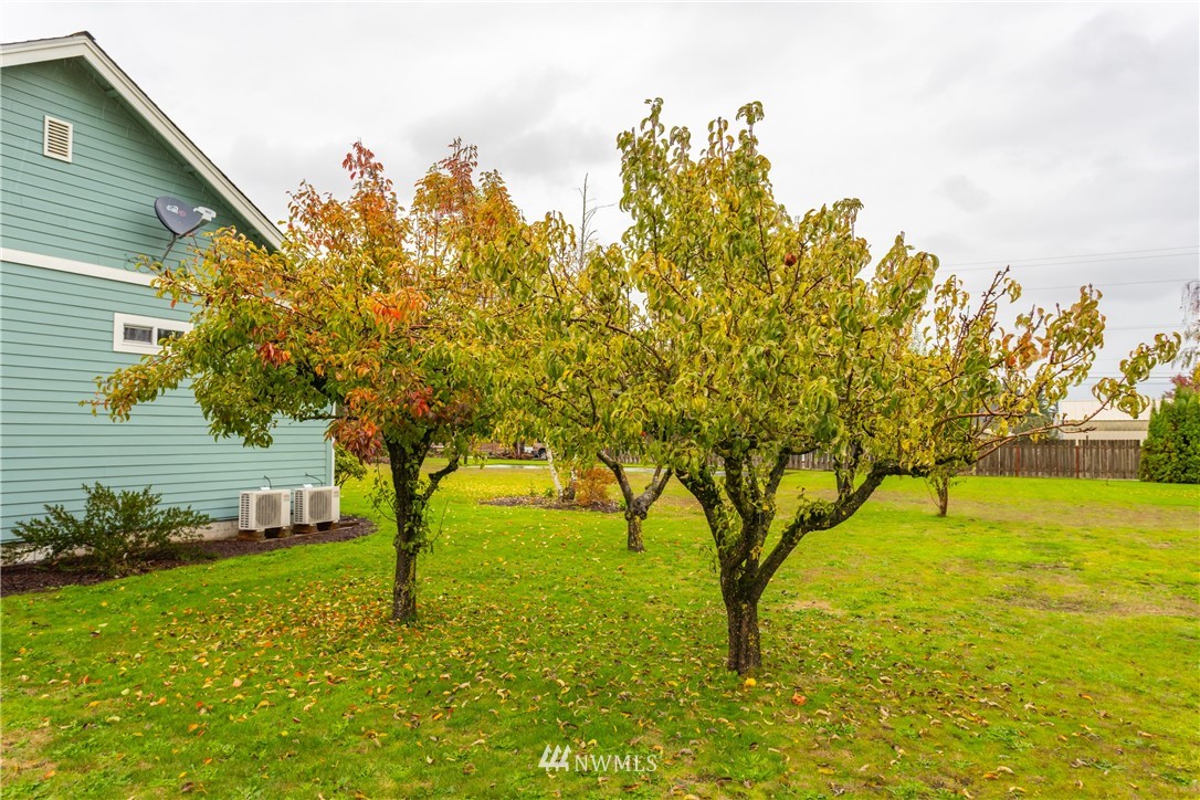 879 East Wiser Lake Road Lynden, WA 98264 - Photo 34 of 36 a backyard of a house with lots of green space