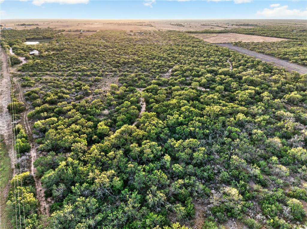 0 Highway 72 Three Rivers, TX 78071 - Photo 8 of 10 Gallery Image 8