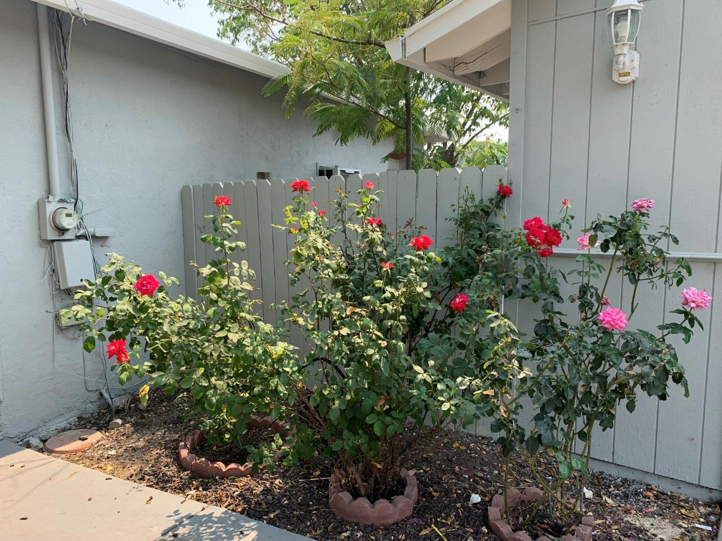 1281 Traynor Road Concord, CA 94520 - Photo 34 of 41 a view of a flower in a yard