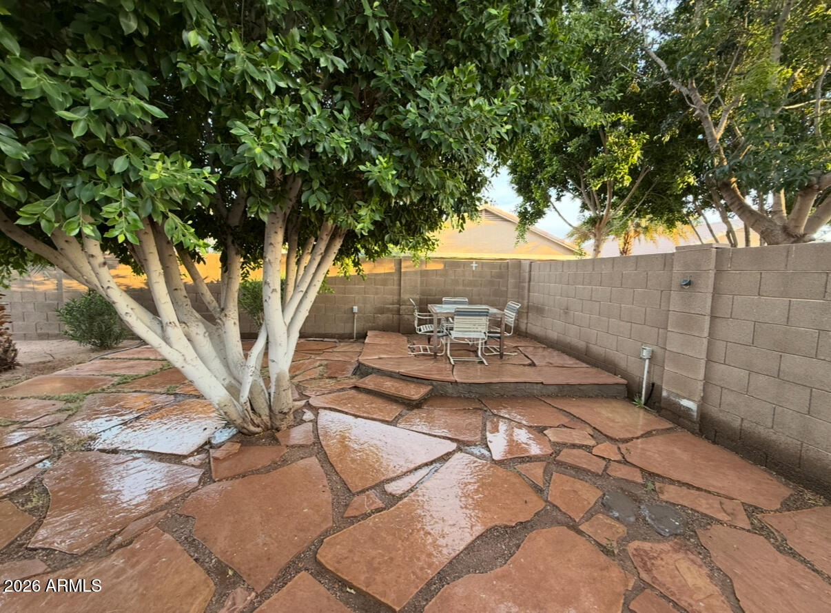11531 East Decatur Street Mesa, AZ 85207 - Photo 71 of 75 IMG_3711
