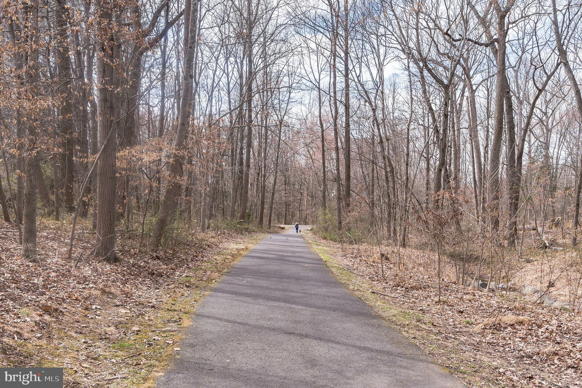 1610 Barnstead Drive Reston, VA 20194 - Photo 32 of 33 One of many Reston Trails