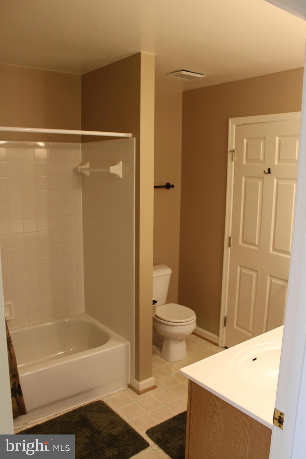 14152 Asher View Centreville, VA 20121 - Photo 13 of 14 Bath (Master)