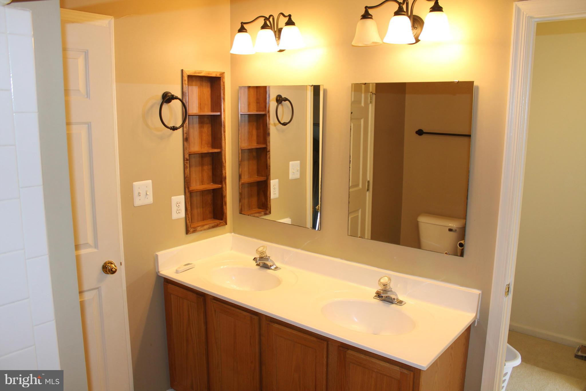 14152 Asher View Centreville, VA 20121 - Photo 14 of 14 Bath (Master)