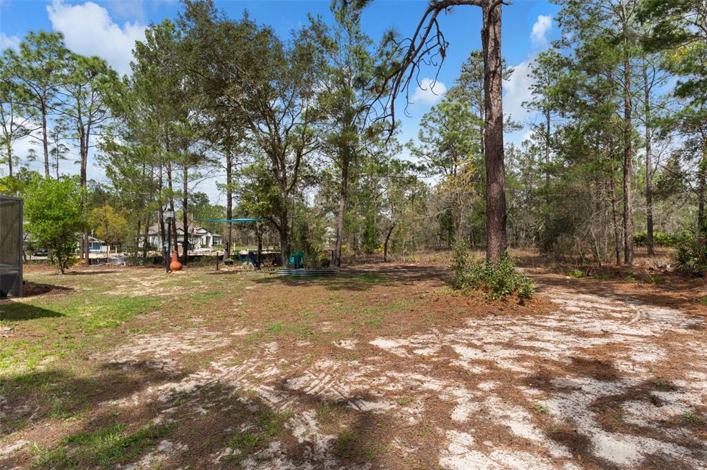 46 Fringetree Street Homosassa, FL 34446 - Photo 51 of 54