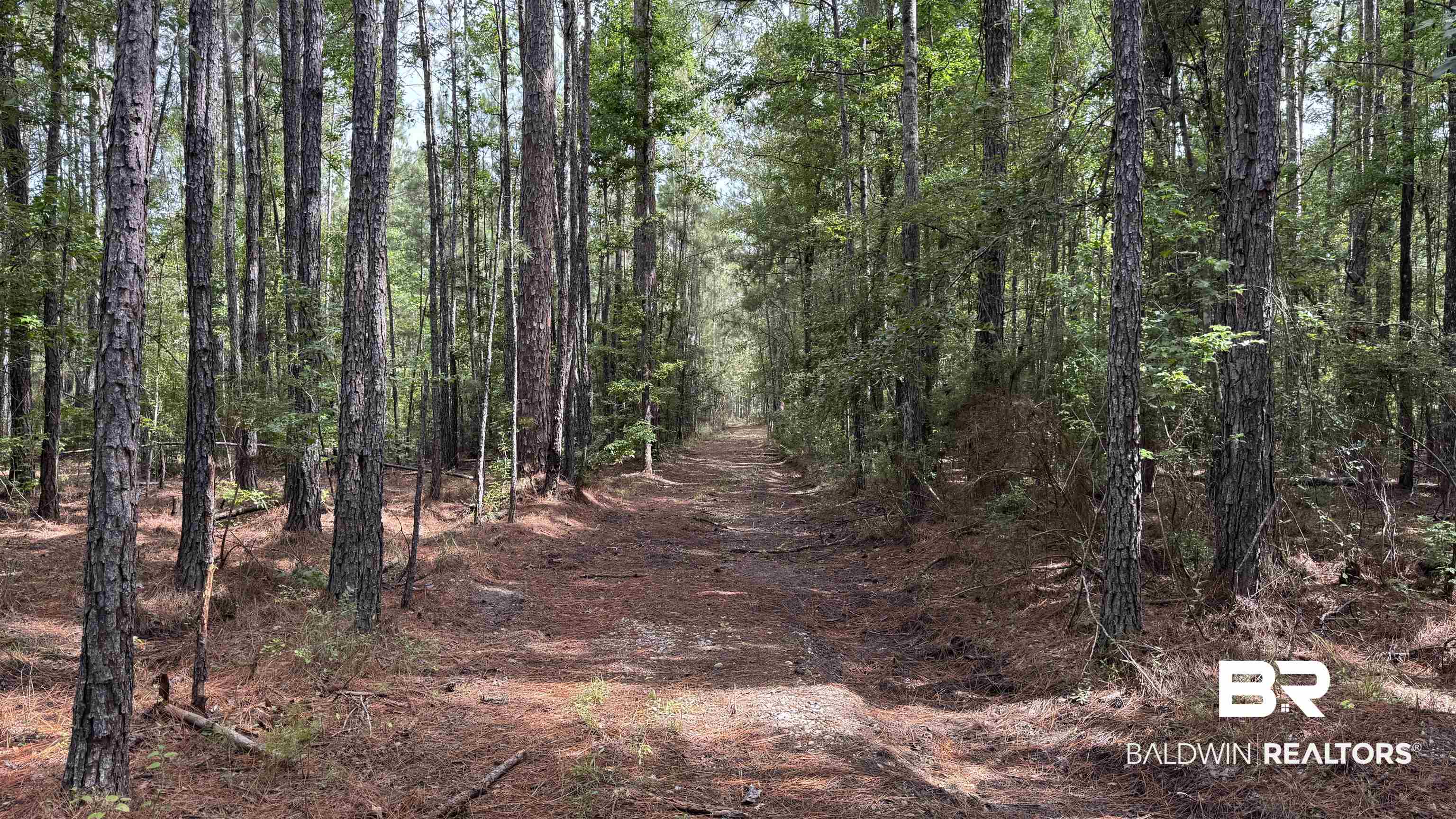 66409 James Road Stockton, AL 36579 - Photo 26 of 35