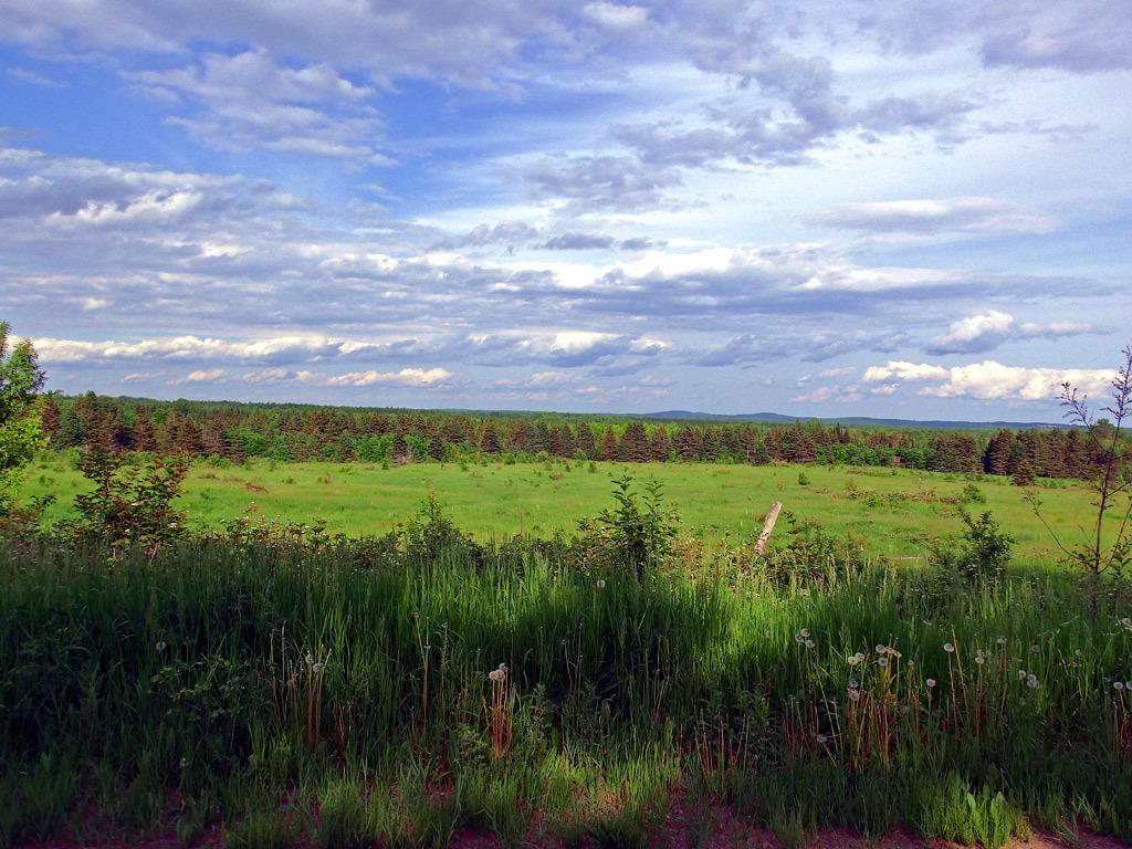 Green Green Rd Road Houlton, ME 04730 - Photo 22 of 30 hodgdon-oliver-land-15