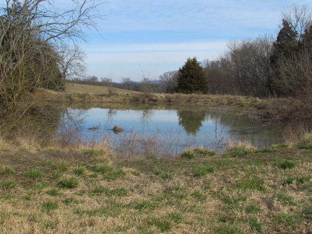 900 Turner Road Watertown, TN 37184 - Photo 8 of 17 A second pond at the bottom of the hill.