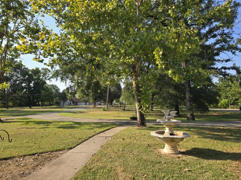 11692 Clark Lane Conroe, TX 77385 - Photo 35 of 35 View from the front of the home looking out to the circle driveway.