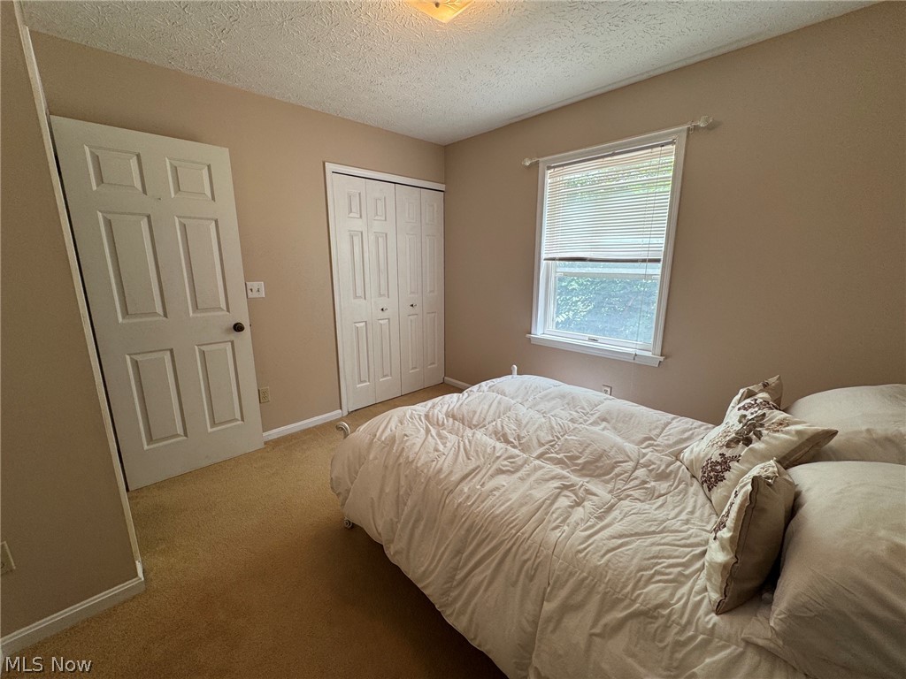 8201 Orchard Road Painesville, OH 44077 - Photo 30 of 45 Carpeted room featuring a single window with blinds, a six-panel interior door, and a bi-fold closet door
