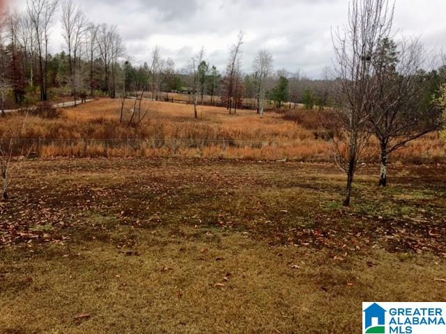 2266 Gilberts Ferry Road Ohatchee, AL 36271 - Photo 30 of 33