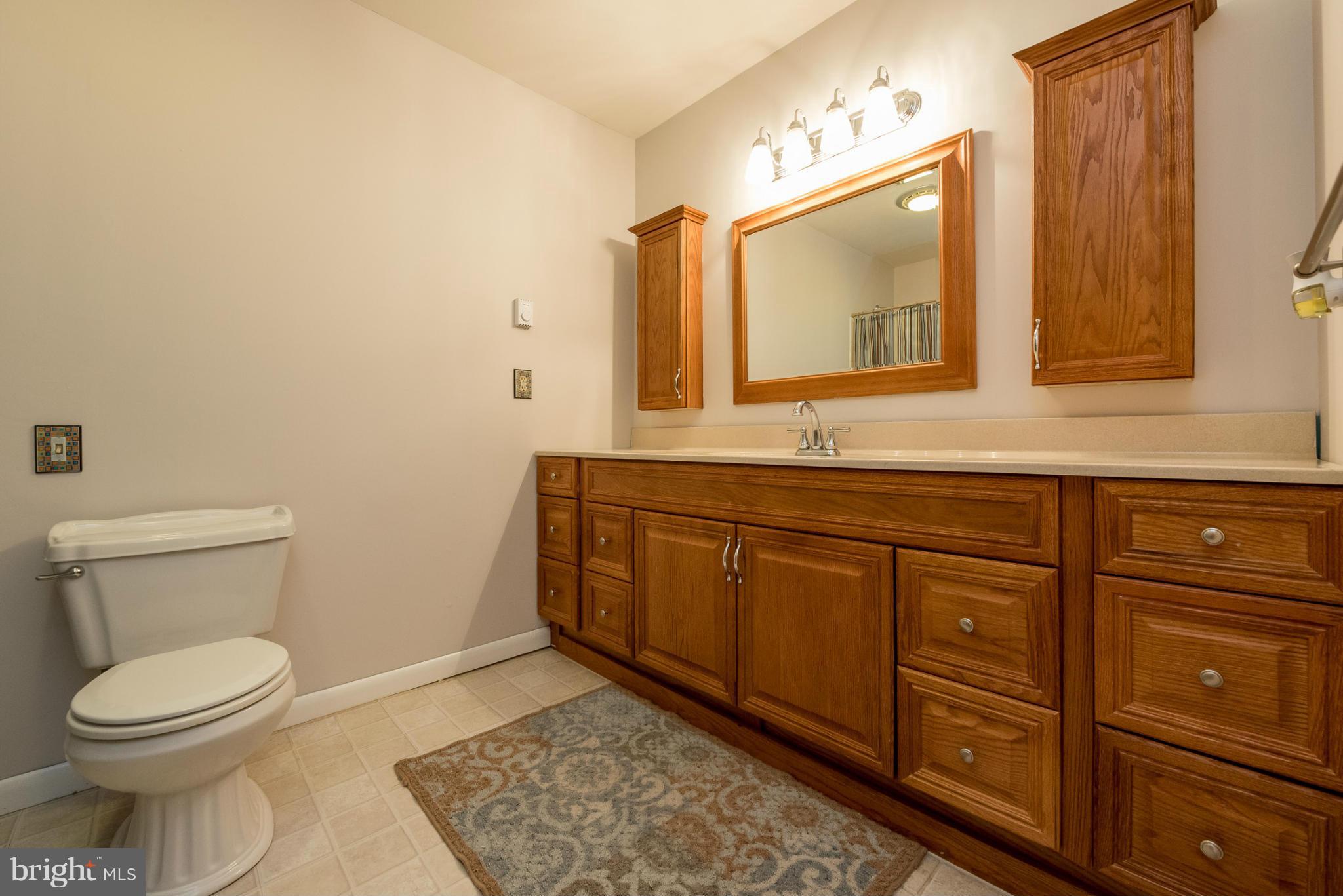49121 Trapp Road St. Inigoes, MD 20684 - Photo 22 of 30 Bath