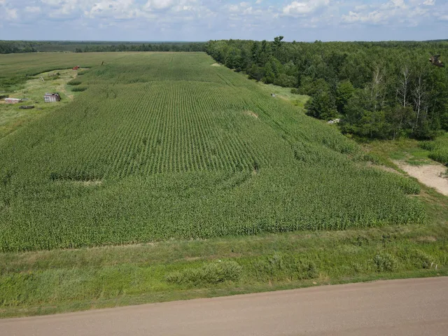 $299,900 | 67-tbd County Road M, Ogema, WI 54459