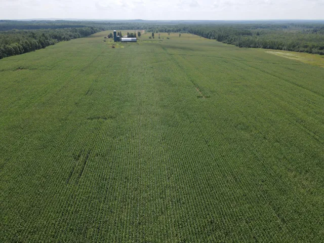 $299,900 | 67-tbd County Road M, Ogema, WI 54459